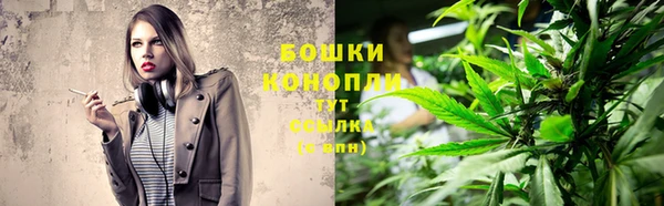 спайс Няндома