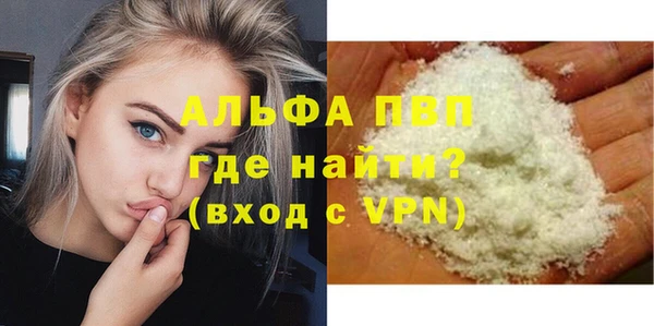 спайс Няндома