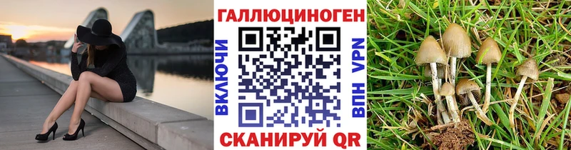 Псилоцибиновые грибы мухоморы  Аргун 