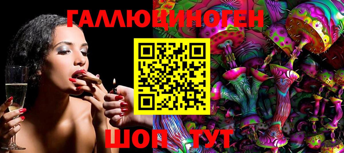 Галлюциногенные грибы GOLDEN TEACHER Аргун
