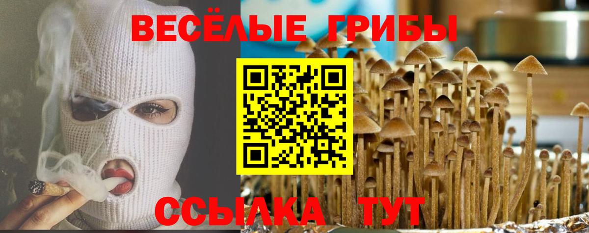 А ПВП СОЛЬ   Cocaine  Меф МЯУ МЯУ   Аргун  ГАШ  Метадон  Каннабис  АМФ кристаллы  Codein 