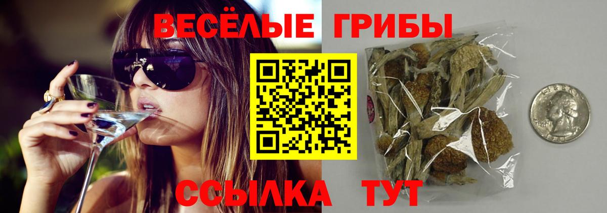 Псилоцибиновые грибы Psilocybe  Аргун  Галлюциногенные грибы прущие грибы 